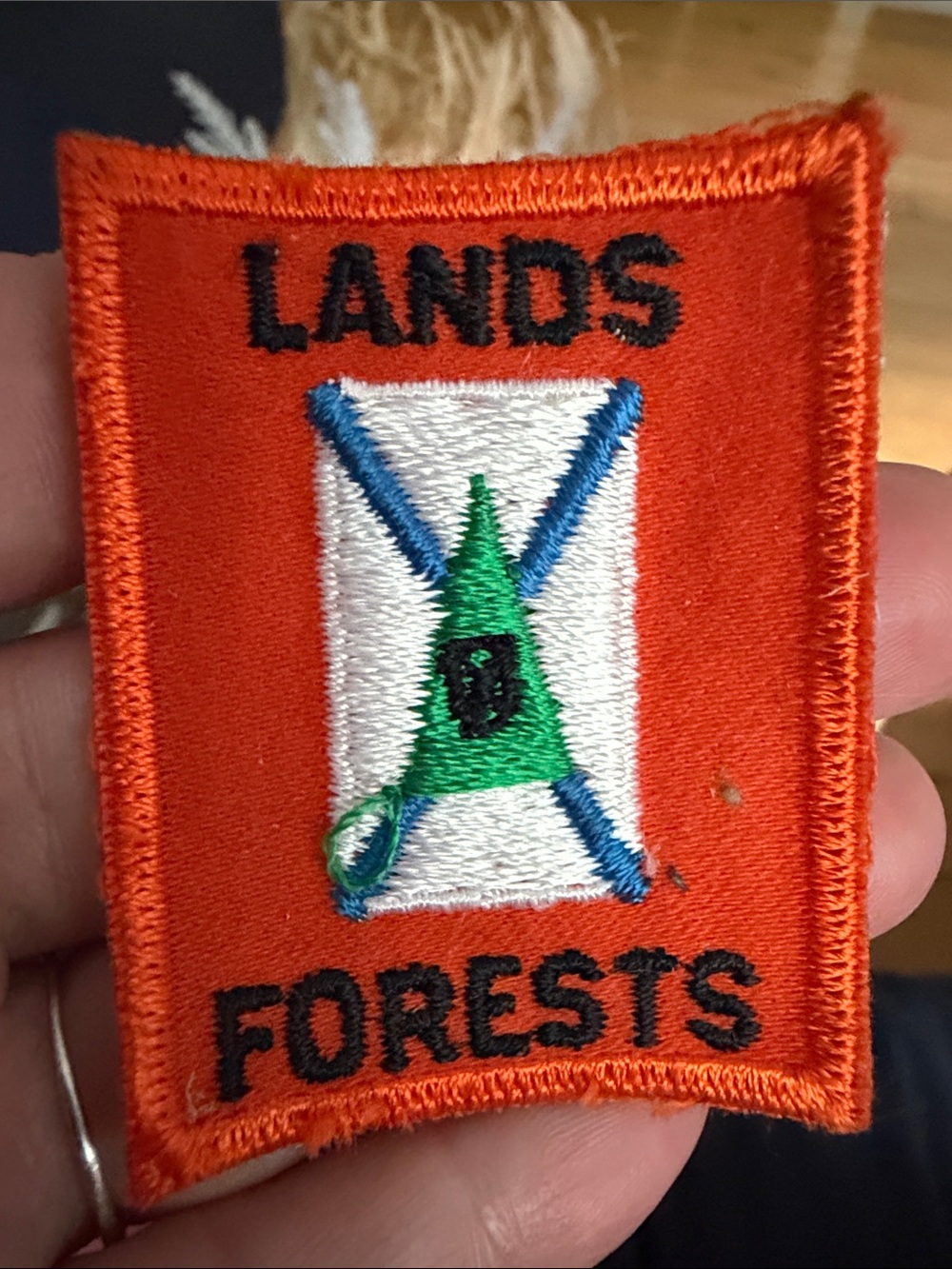 New Vintage Nova Scotia Lands & Forests Embroidered Patch - Orange/Green